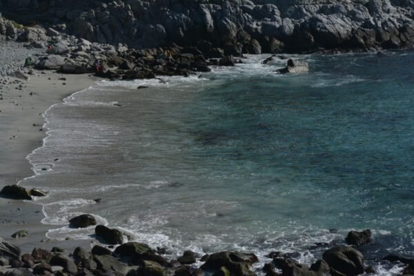 Merit Crystal Cove Yeniden Açılıyor