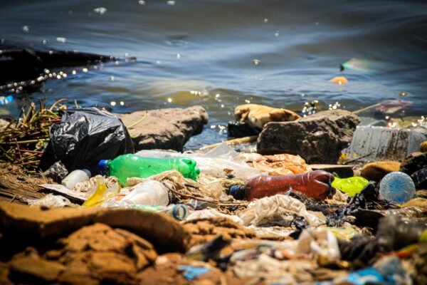 Avrupa Plastik Atığı