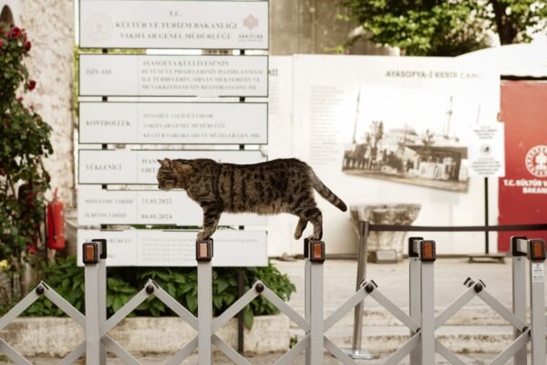 Turizm Tanıtımı