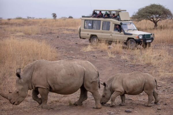 Afrika Turizmi