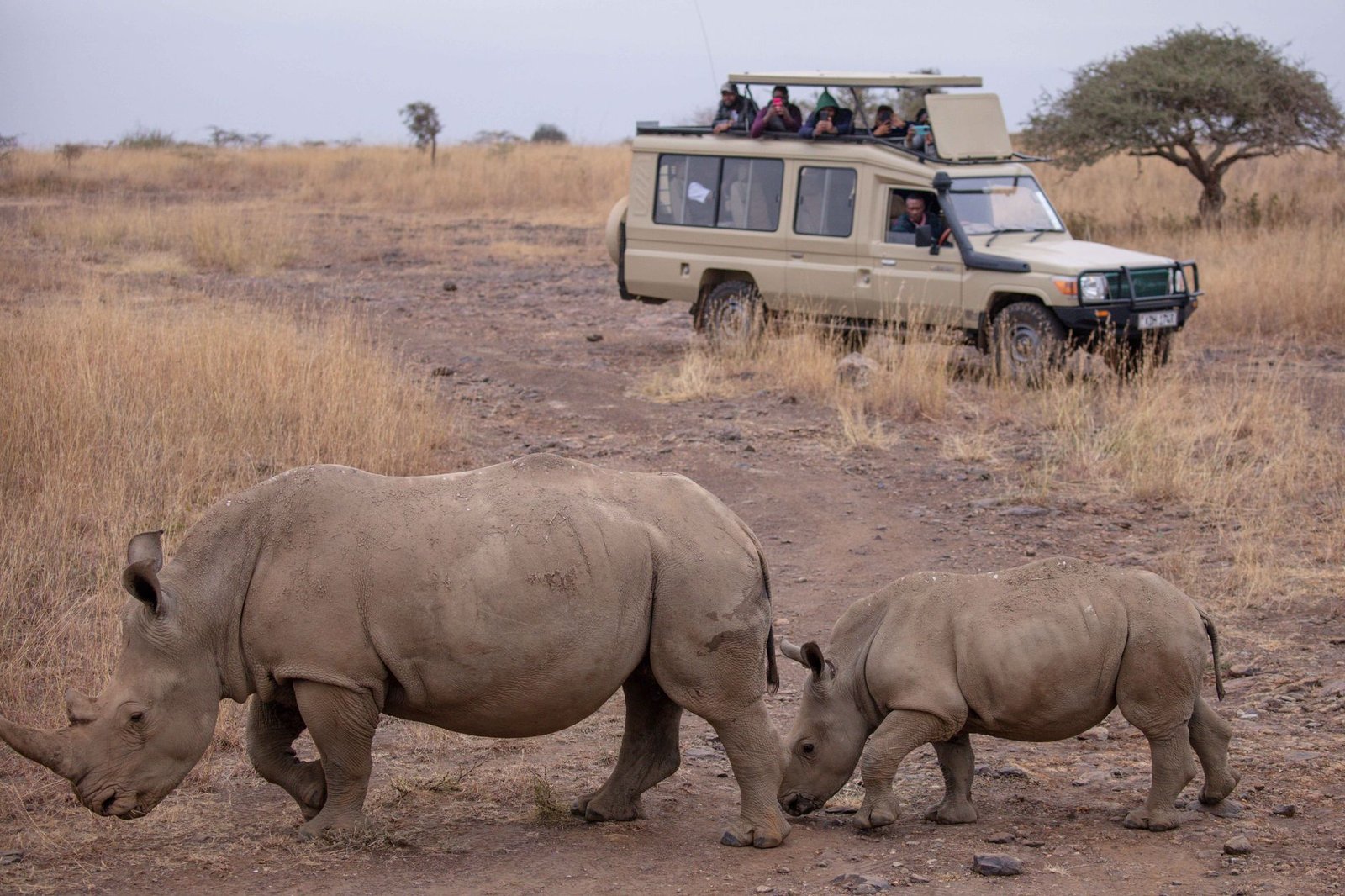 Afrika Turizmi
