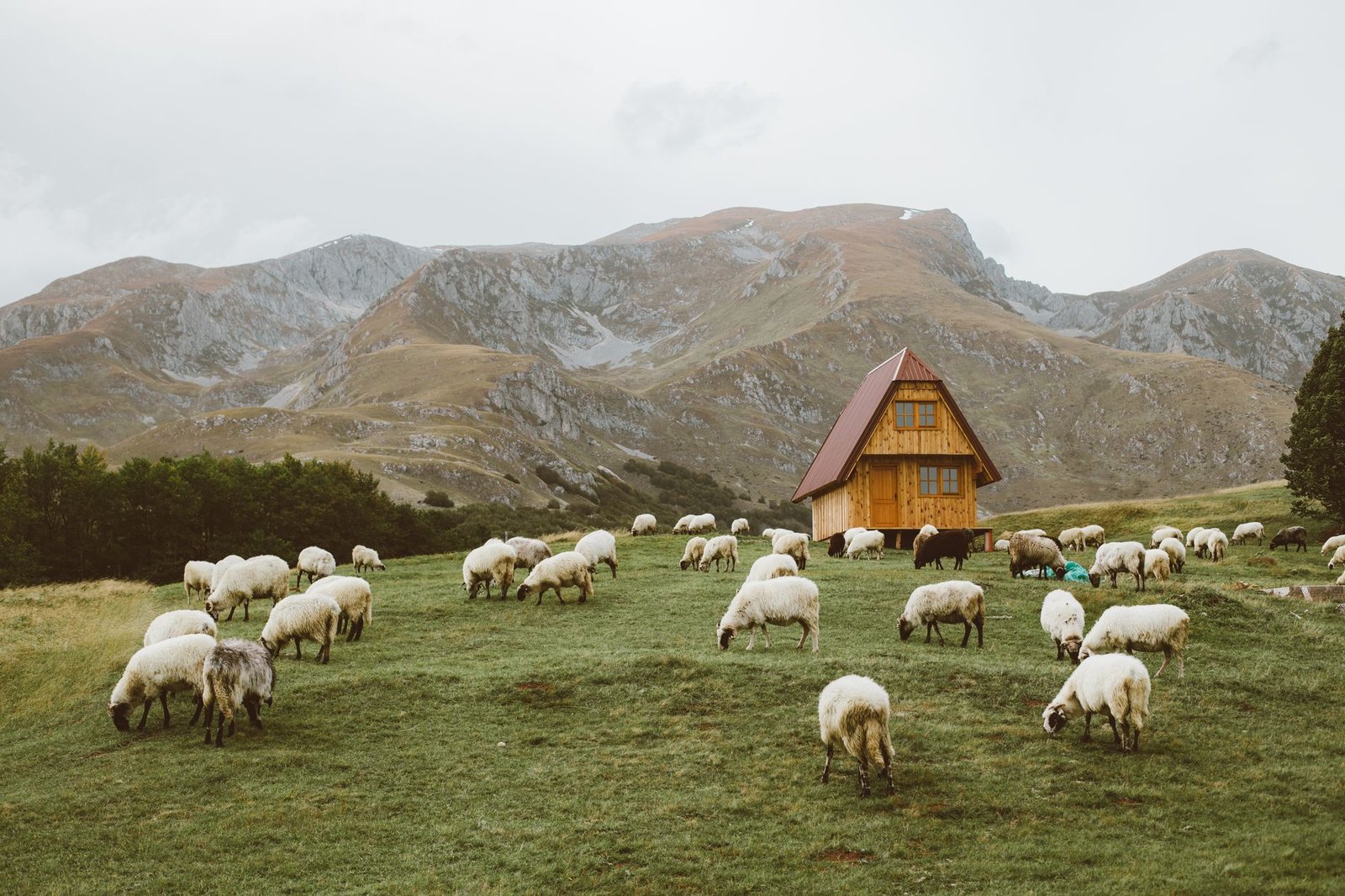 Kırsal Turizm Kongresi